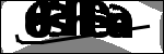 متن برای شناسایی